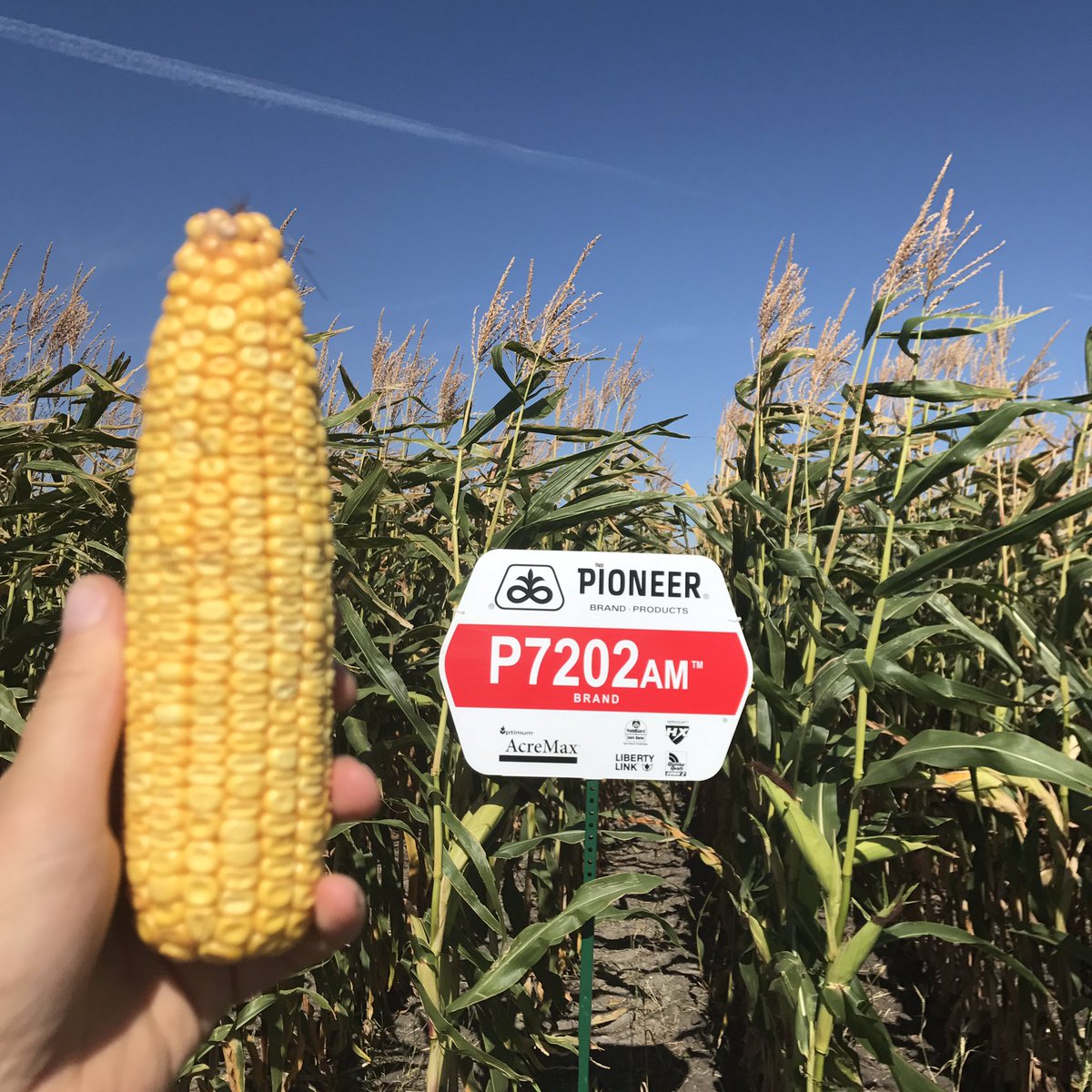 Myhre Land & Cattle (Myhre_Hans) Twitter