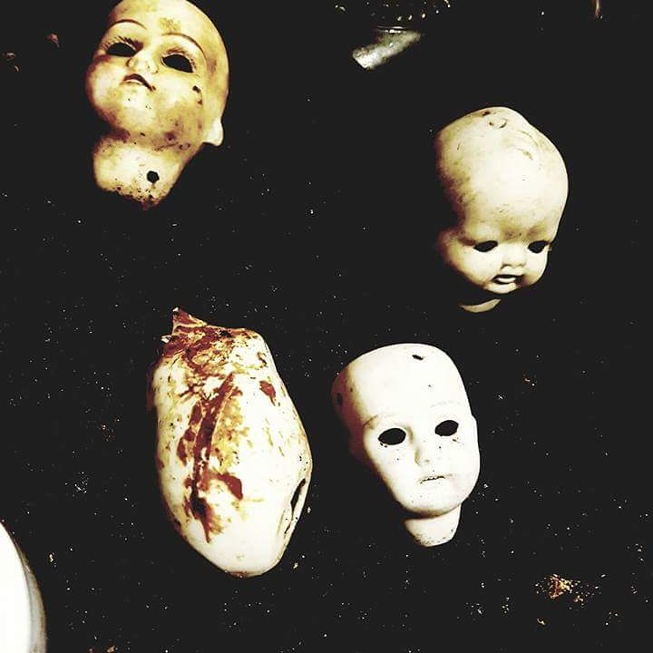 LeadParanormal tweet picture