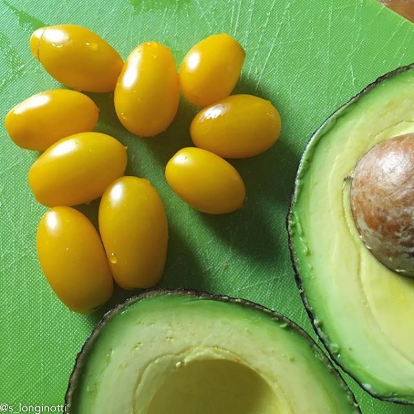 UrbanOrganicGar's tweet image. My last homegrown tomato harvest 📷: @s_longinotti #tomatoes #yellowpeartomatoes

Join UOG'S MONTHLY SEED and GARDE… ift.tt/2uo89Fu