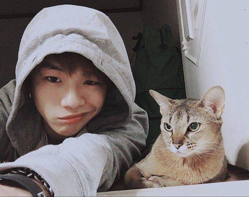 왜 고양이인가?😻 #냥덕이_관람을_결심할_때 <고양이 케디> #세상_엄근진 #주간조선 #패러디😉💕 9월 21일 전격 개봉! #강다니엘도_사랑하는_고양이...