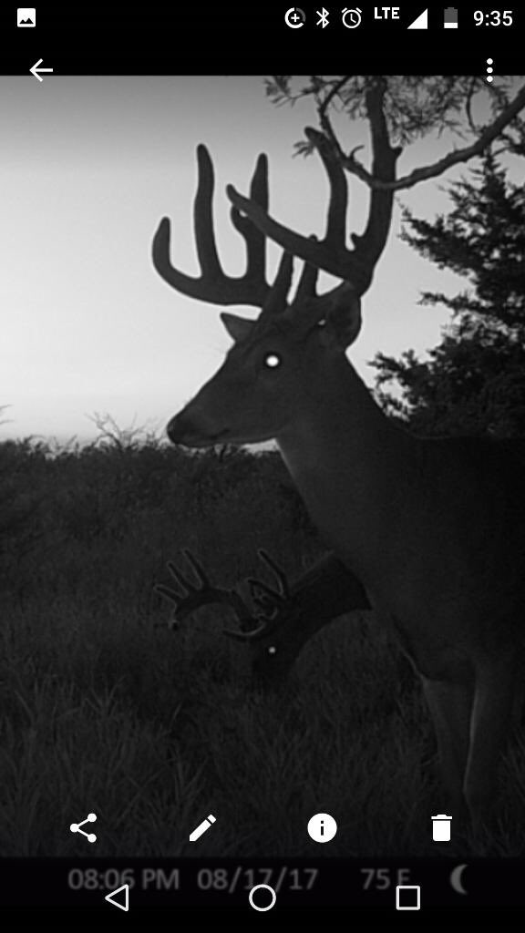 averagebowhunt tweet picture