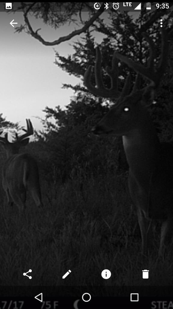 averagebowhunt tweet picture