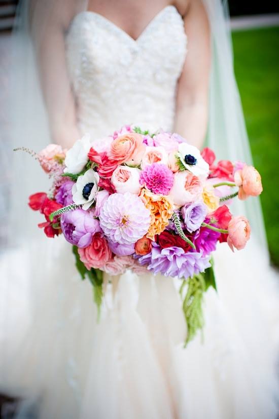 OneWed tweet media