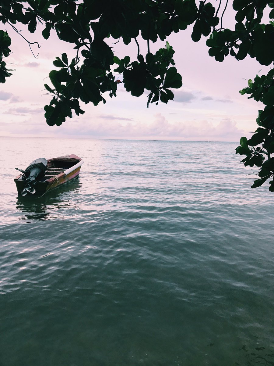 Jamaica no problem 🇯🇲