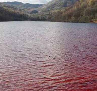 Random_Thane's tweet photo. Came down 2 the mere to watch the fight. Nothing 2 see but blood in the water. Things not looking good for @Beowulf45388411 #bwulf665 https://t.co/9bWtn3VsKj