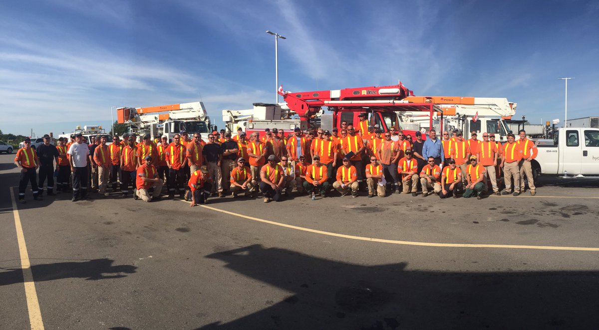 Scott Steadman Treelimbinator Twitter