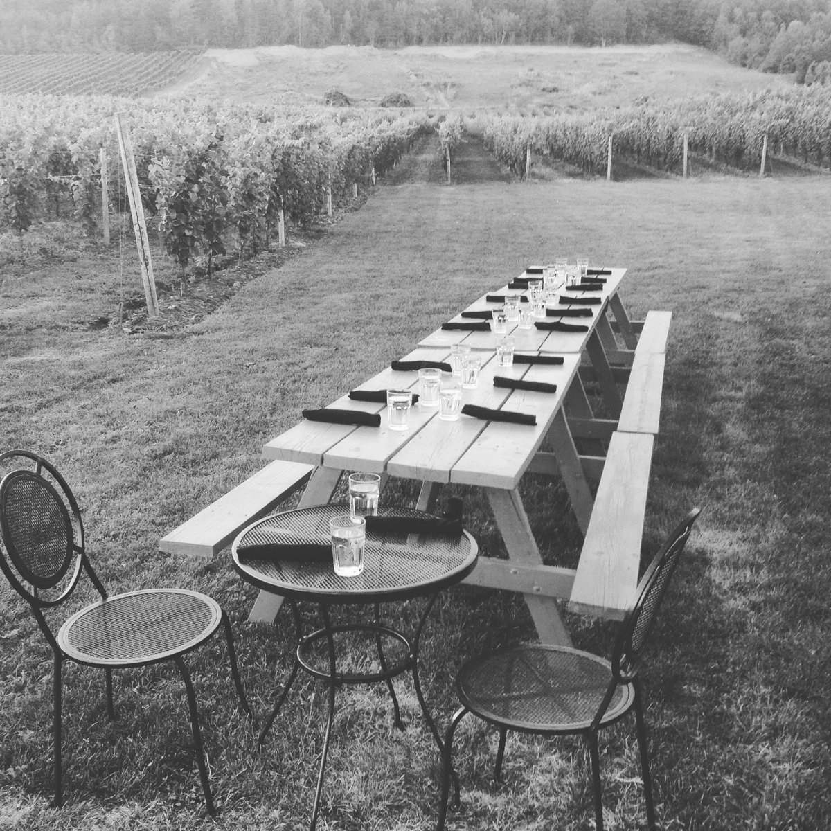 Elegant dining in the vines <a href="/gaspereauwine/">Gaspereau Vineyards</a>
