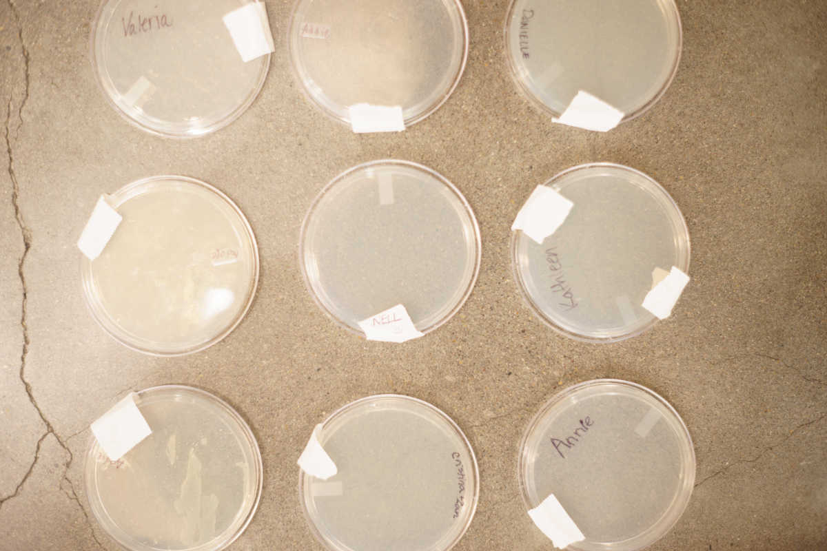 ScienceHackDayPDX tweet media