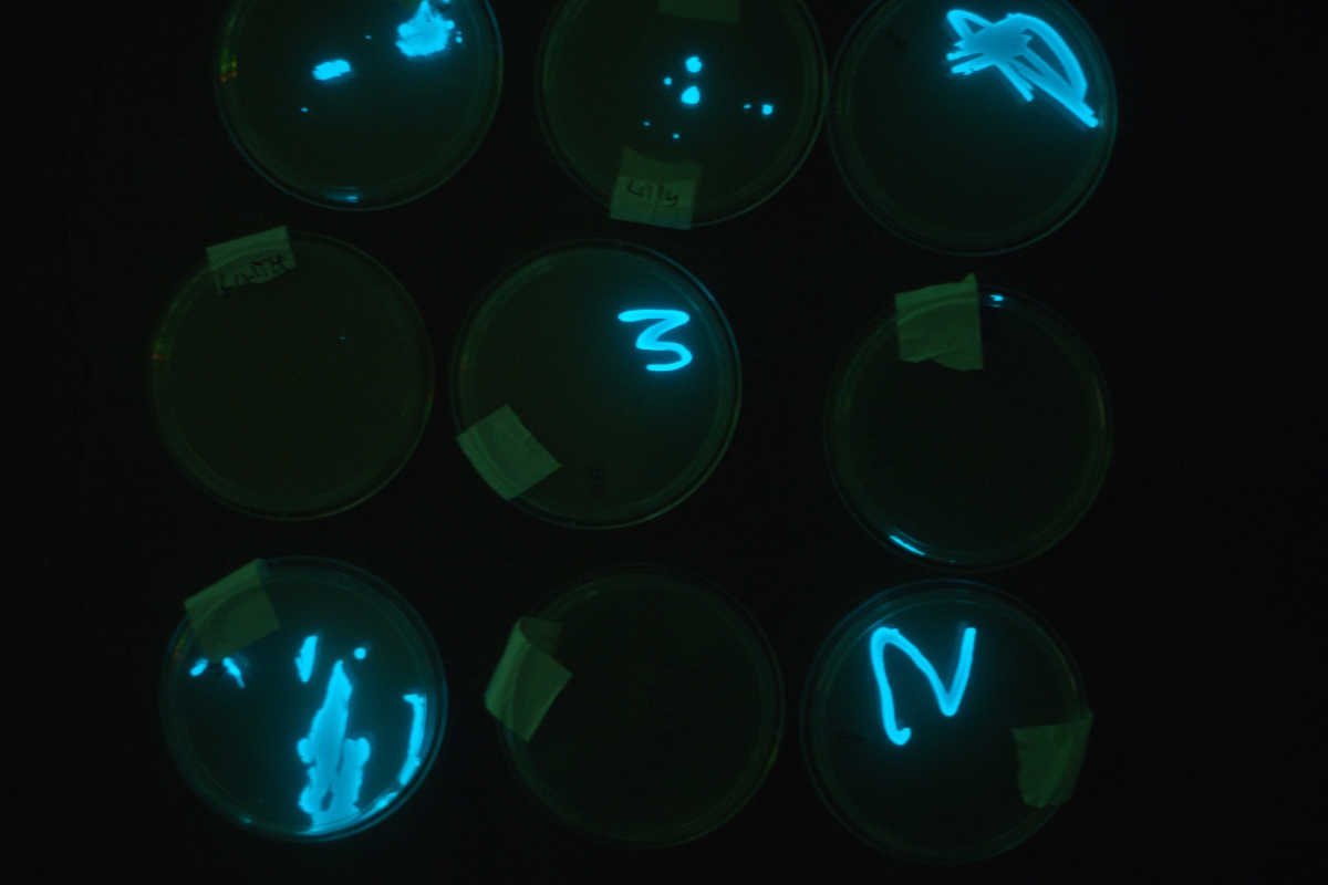 ScienceHackDayPDX tweet media