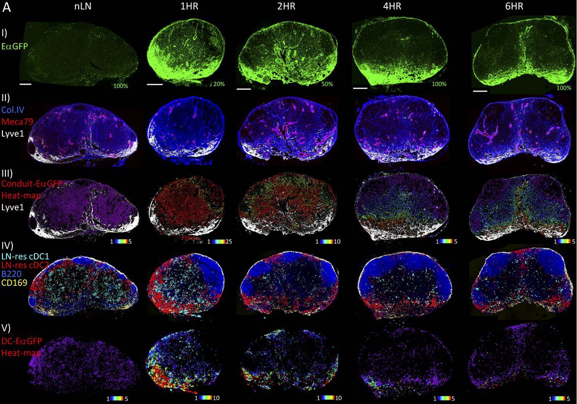 Journal of Experimental Medicine tweet media