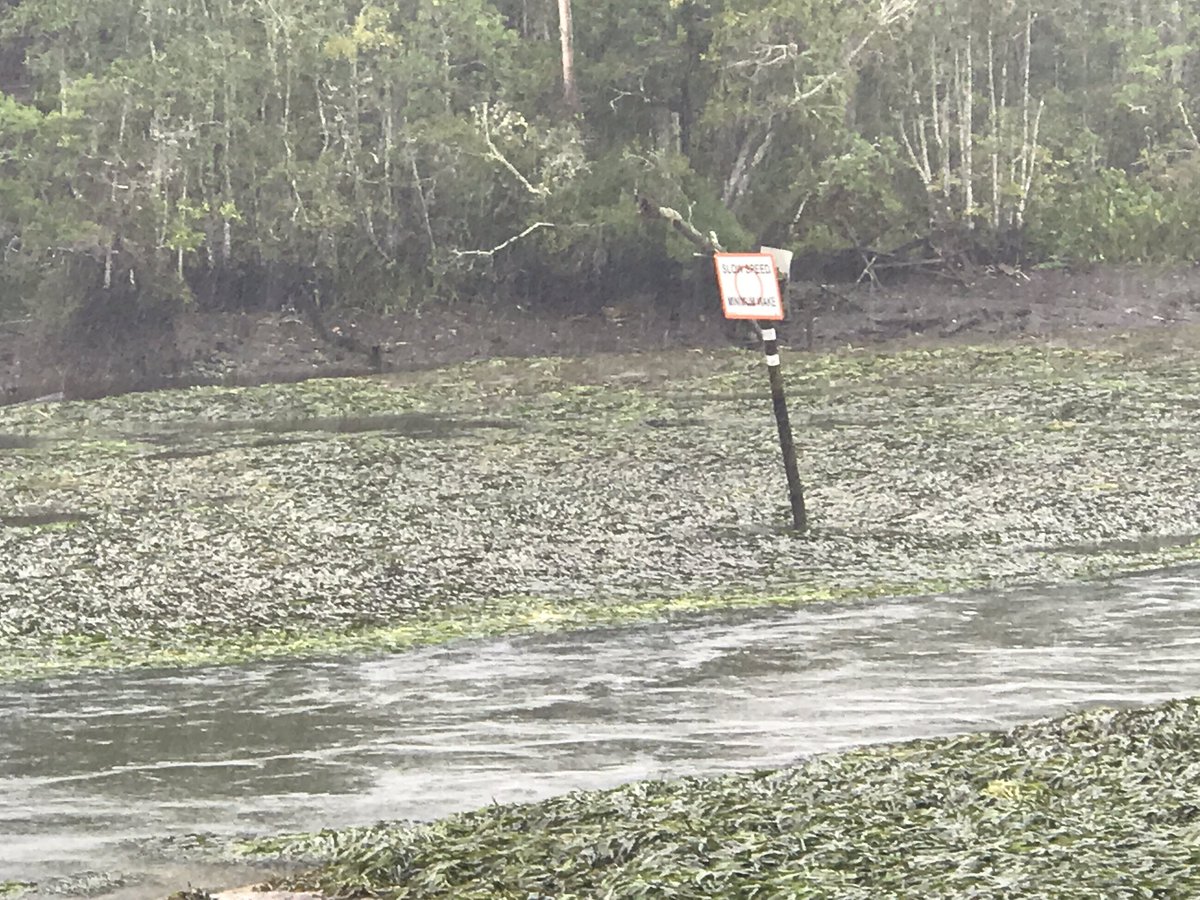 GrahamRocks18's tweet photo. #HuricaneIrma took all the water! https://t.co/7lmc1IY1B9
