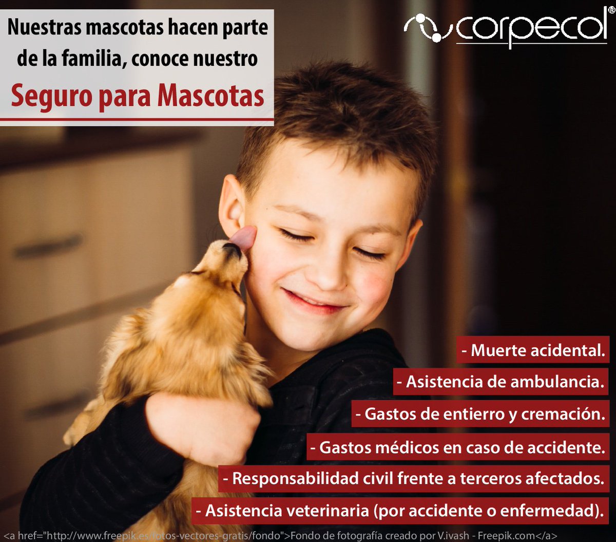 Corpecol's tweet photo. Las #mascotas hacen parte de nuestra #Familia disfruta de los beneficios que seguramente tu mascota agradecerá.#Corpecol #Seguro https://t.co/ggDNmBasfo