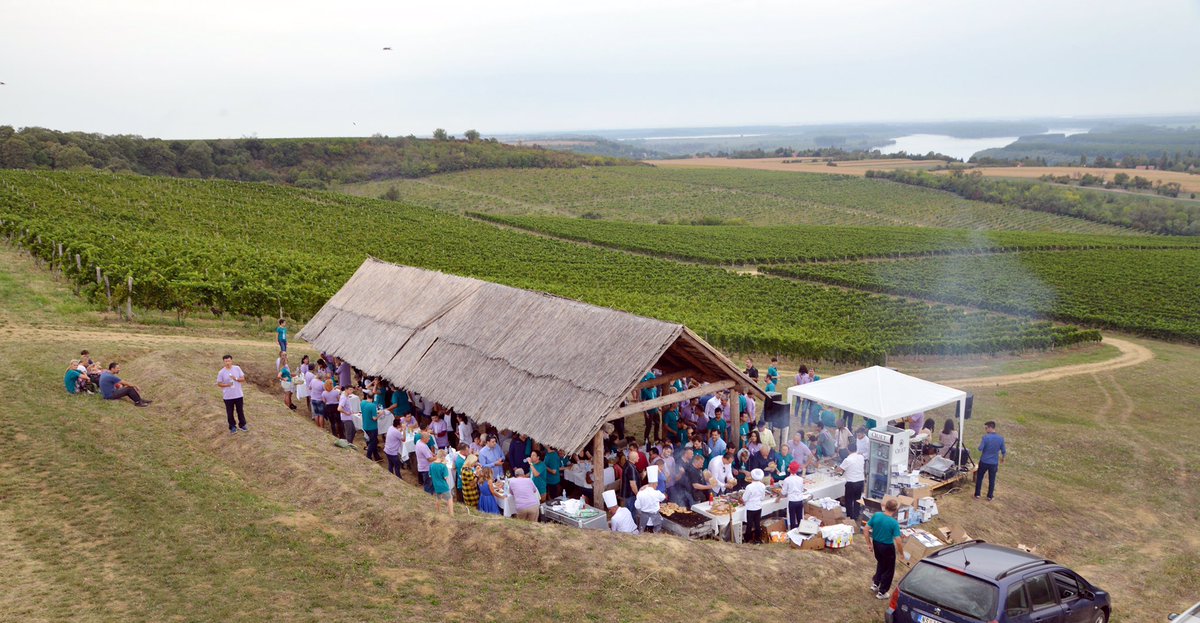 quetwine's tweet photo. Uspešna #berba2017 u #Fruskogorskivinogradi #Harvest2017 #收获2017 #Fruvin #Quetwine #TriSunca #Fruskagora #Serbia https://t.co/IhBl6Joy1V https://t.co/j4N6zAv5rD