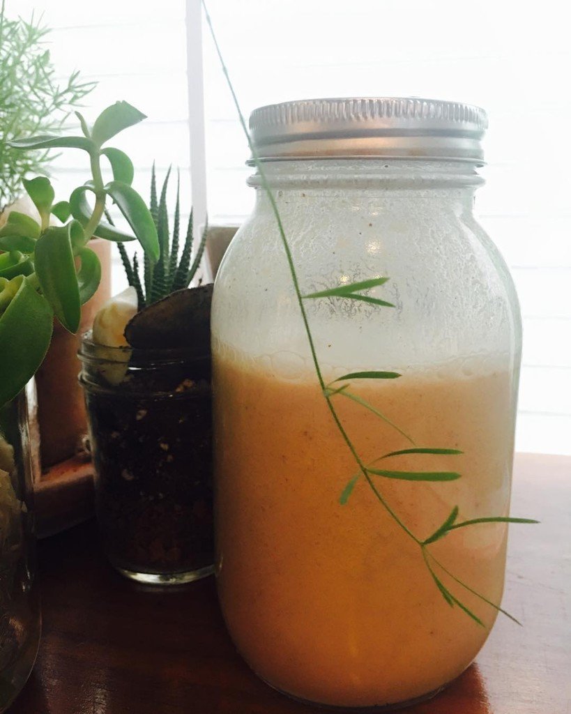 foodsmarty's tweet image. Walnut Gogi Milk:

1/3 c walnuts
1 quart filtered water
1 T gogi berries

#mountainvalleyspringwater ift.tt/2feavhv