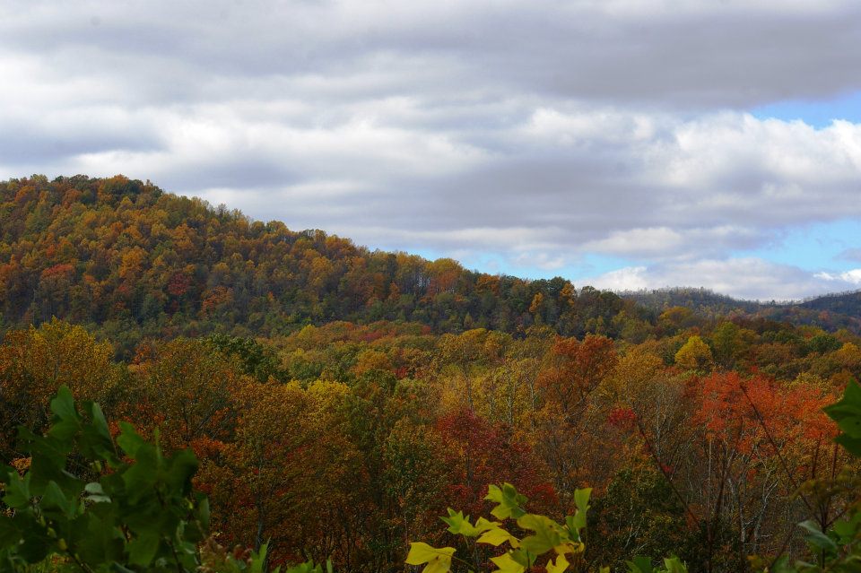 RideRoyalBlue's tweet photo. Its almost that time of year. Give us a call at 1-423-784-9445 to come enjoy the Fall colors with us! https://t.co/46kEUh1RUo