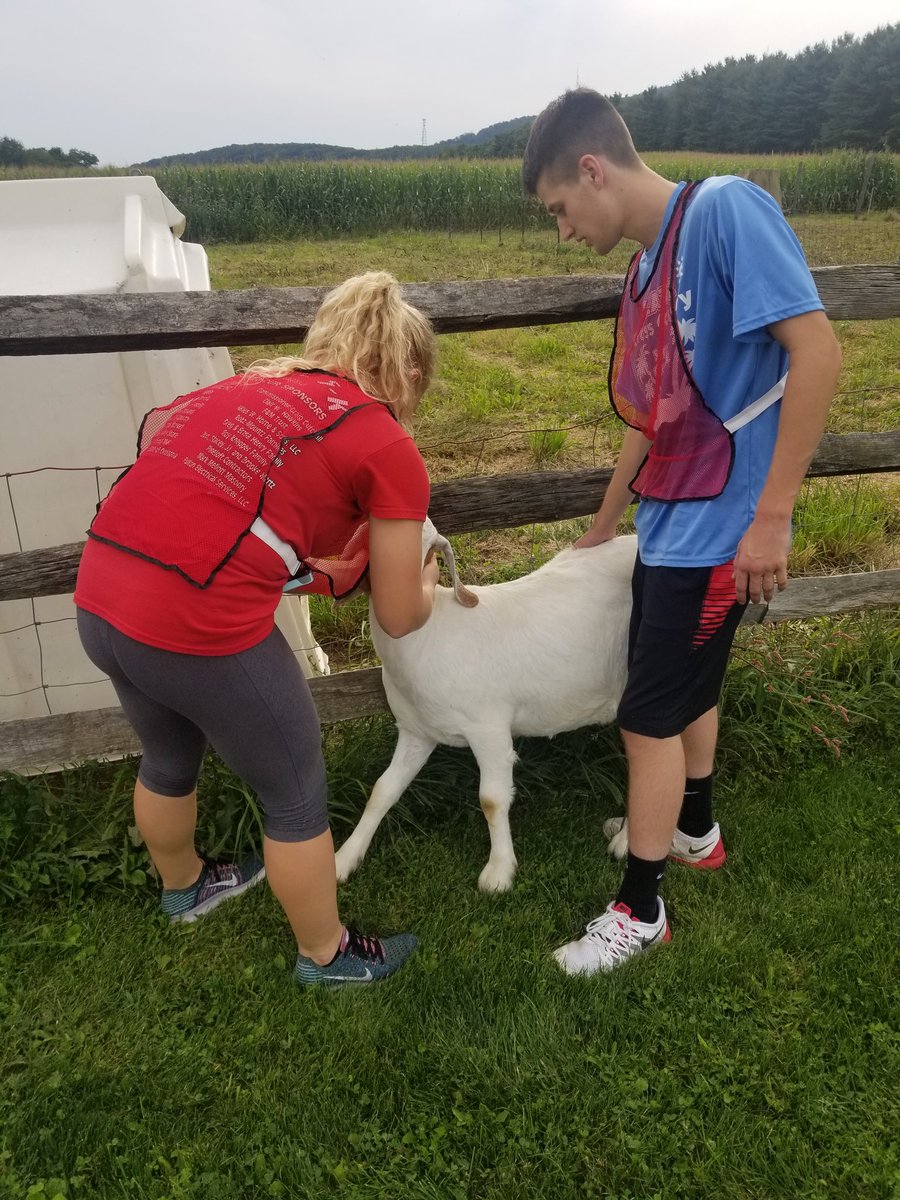 LegoMathLand's tweet photo. Taking a break from XC practice to capture escaped goats.  #csblazers #thoughttheyweregoofingoff https://t.co/YBpTUJ4HJq