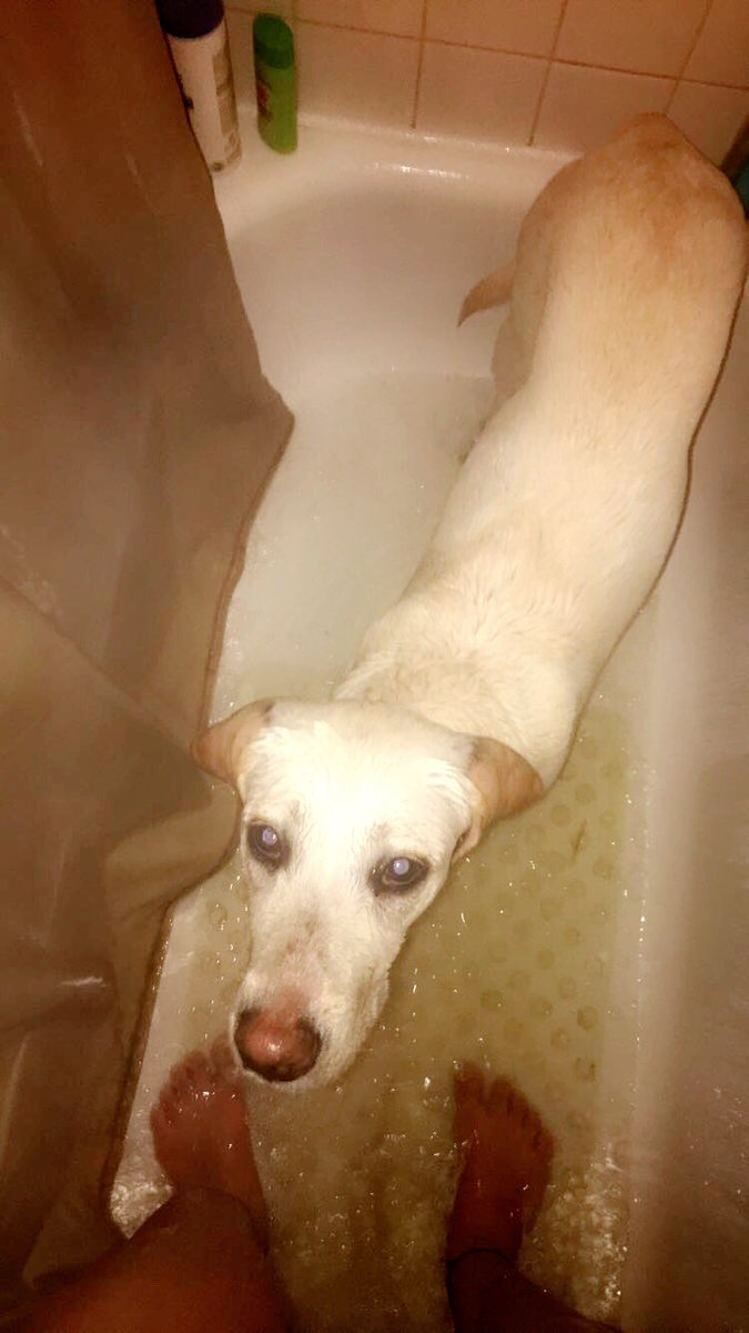Breed2019's tweet photo. I was just tryna take a nice relaxing shower 😂 ... https://t.co/ExhOMzQgAk