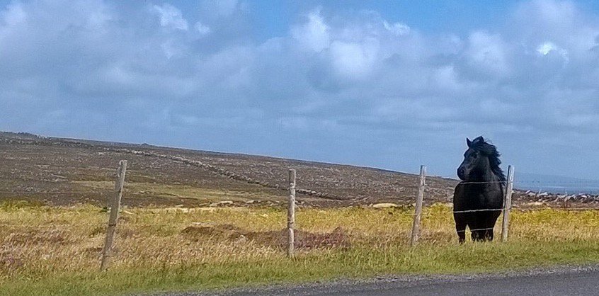 IrishLitTimes's tweet photo. #ErrisHead early August https://t.co/XNQ8vG1LFy