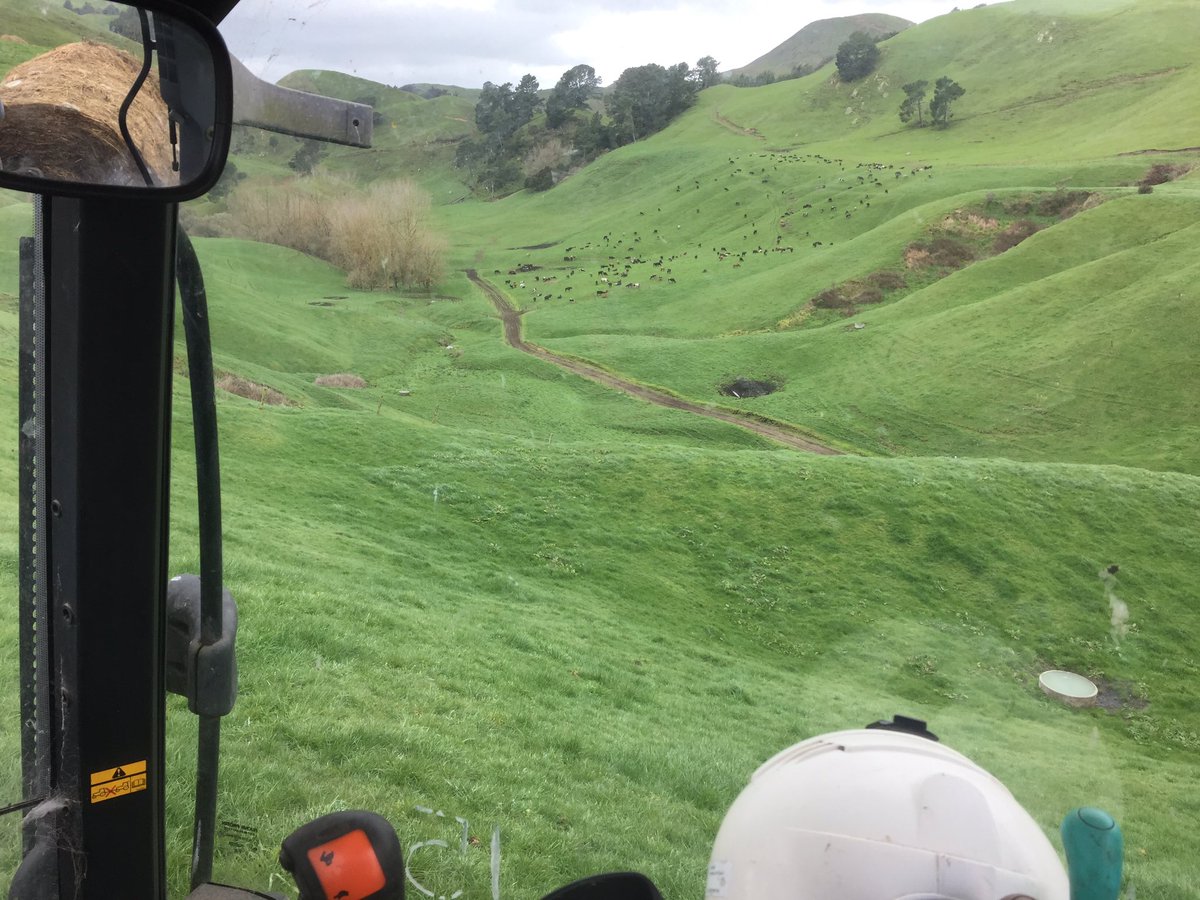carlosjr08's tweet photo. View from the office today. #breakfromrain #cows #feedingout #dairyfarming https://t.co/sM5wNW28mt