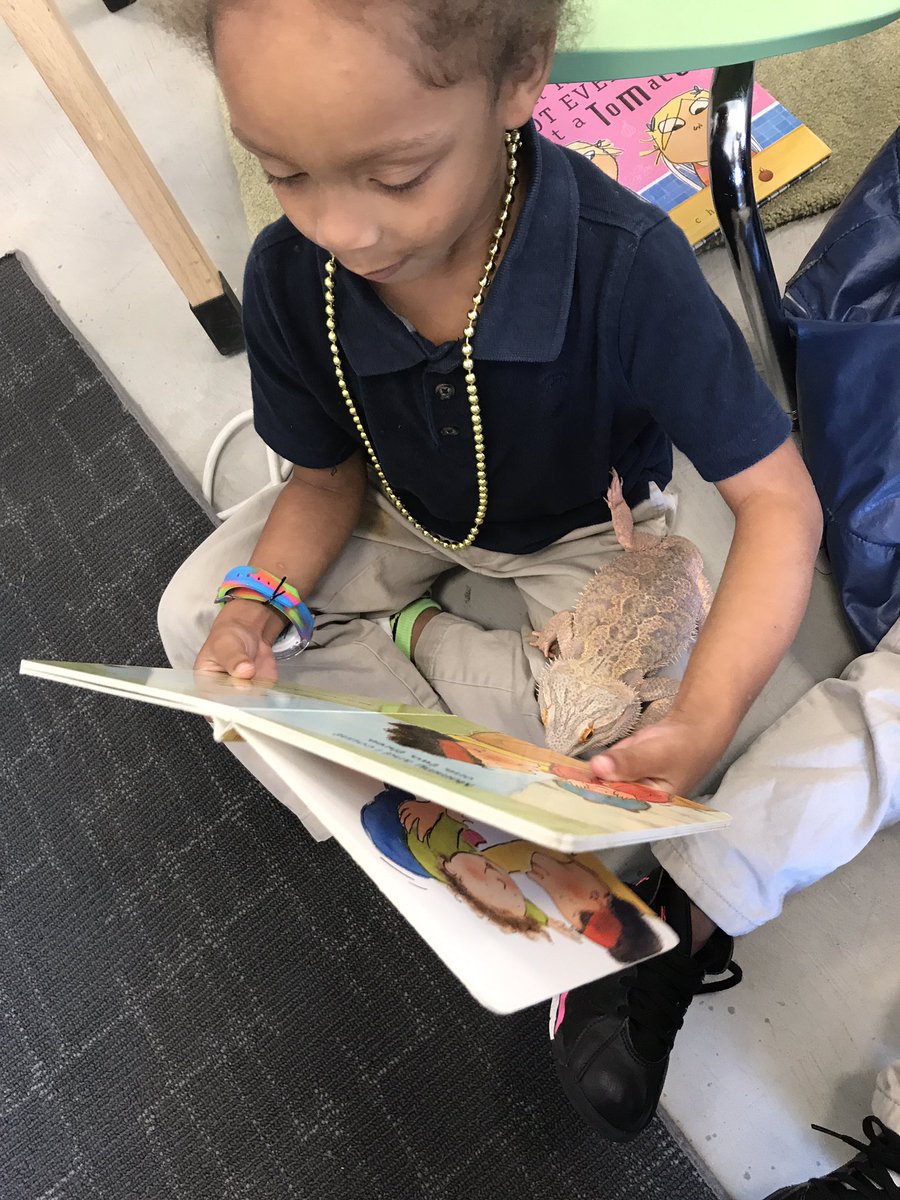 heymissamber's tweet photo. Students engaging in hands-on play which focus on a variety of learning targets, including the development of social emotional skills. https://t.co/Jgi8cV7M0x