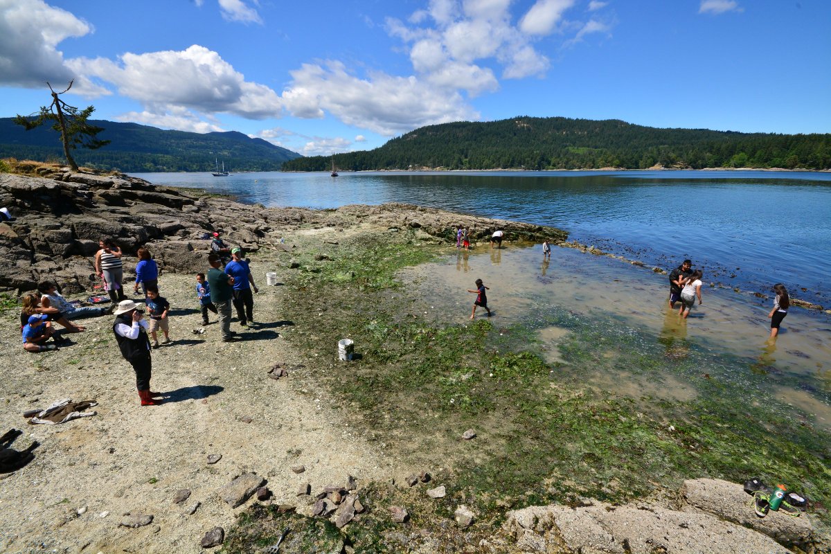 GulfIslandsNPR's tweet photo. Learn Hul’q’umi’num and SENĆOŦEN with us! Check back each day starting tomorrow for a new word. #clamgardeners #CoastSalish #gulfislands https://t.co/n50MUSDfHw