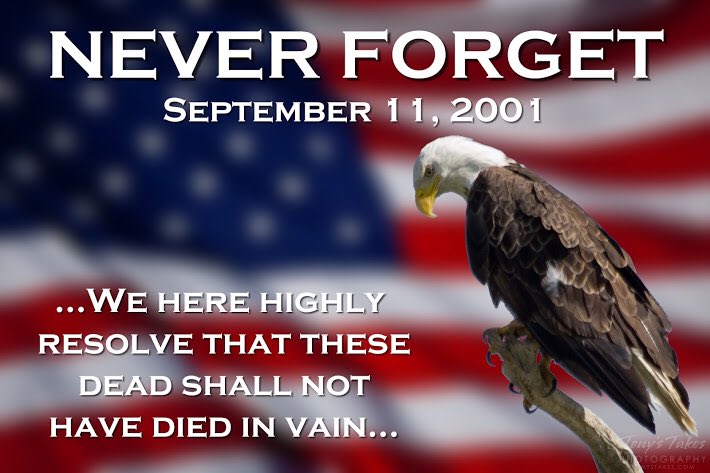 Catropolis (@catropolis14) on Twitter photo 