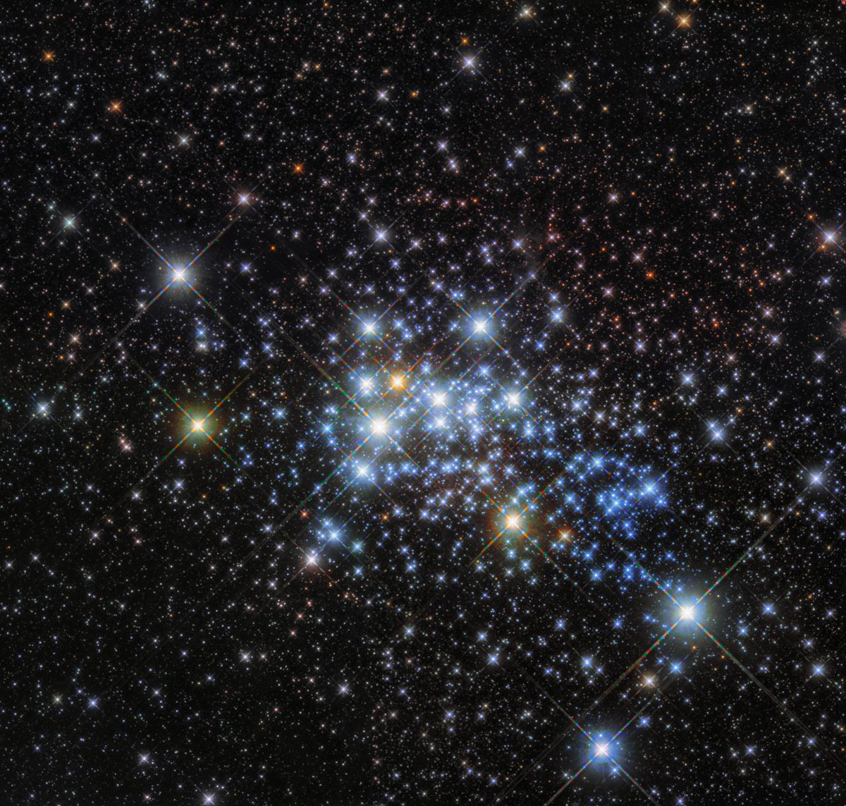 marsrader's tweet photo. Westerlund 1 super star cluster, home to a red hypergiant with a radius 1,500X our Sun. Its surface would extend out past Jupiter. https://t.co/Y9XRZh80wH