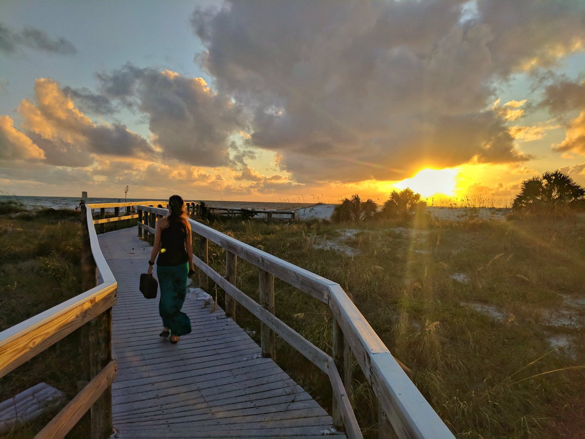 Visit St. Pete-Clearwater tweet media