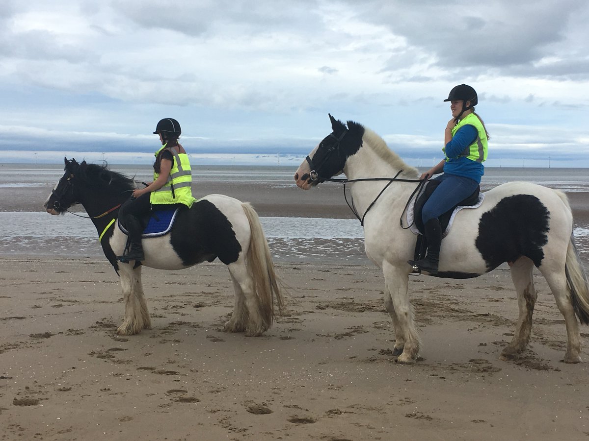 Talullah_Beth's tweet photo. Field days, beach days,dressage days #summerfun #furbabies ❤️❤️ https://t.co/hATqRndQ1Q