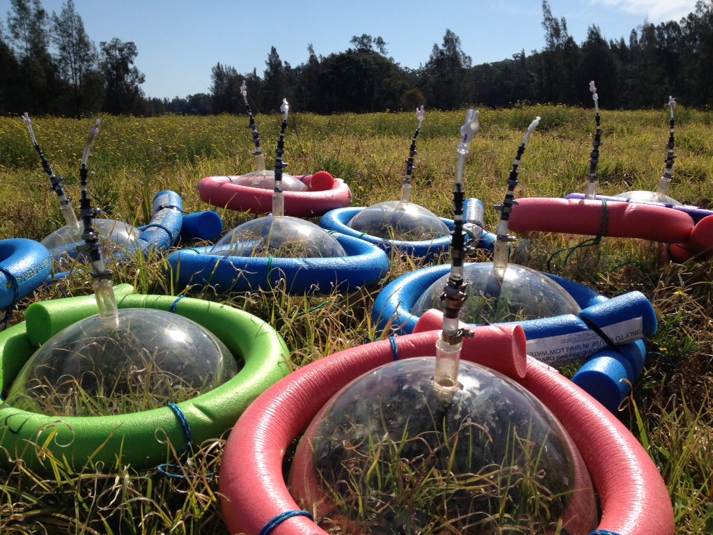 Luke_Jeffrey's tweet photo. Who says you can't have fun with #science ? Time to deploy the #methane #ebulition catchers. #Teletubbies https://t.co/9udHrVkwJA