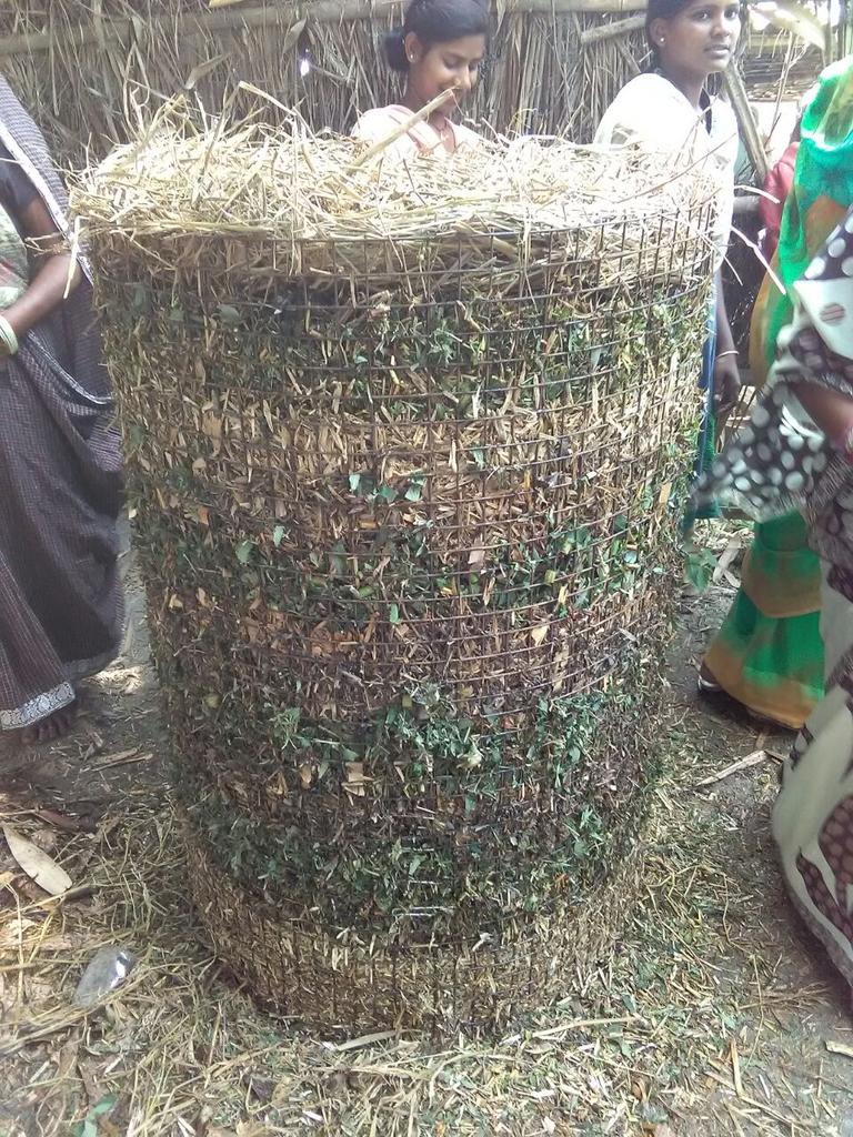 RGMVP's tweet photo. Efficient utilization of research by #SHG women #compostfertilizer @RGMVP #THF_INDIA #DoublingAgricultureIncome #SustainableAgriculture https://t.co/0UYMEODfsL