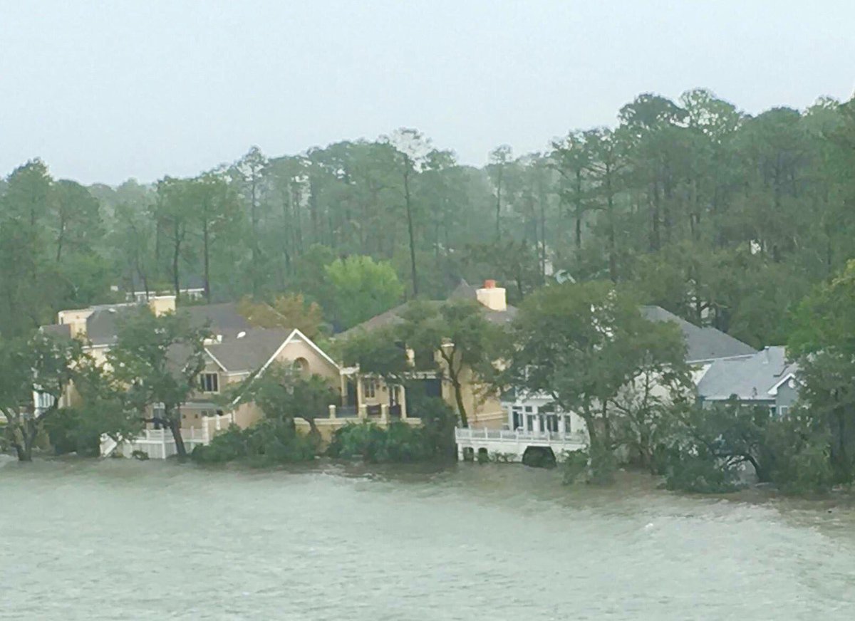 MichelleWycoff's tweet photo. A view of my neighborhood after Irma #hurricaneimra #HiltonHeadIsland https://t.co/ObhypsCqeI