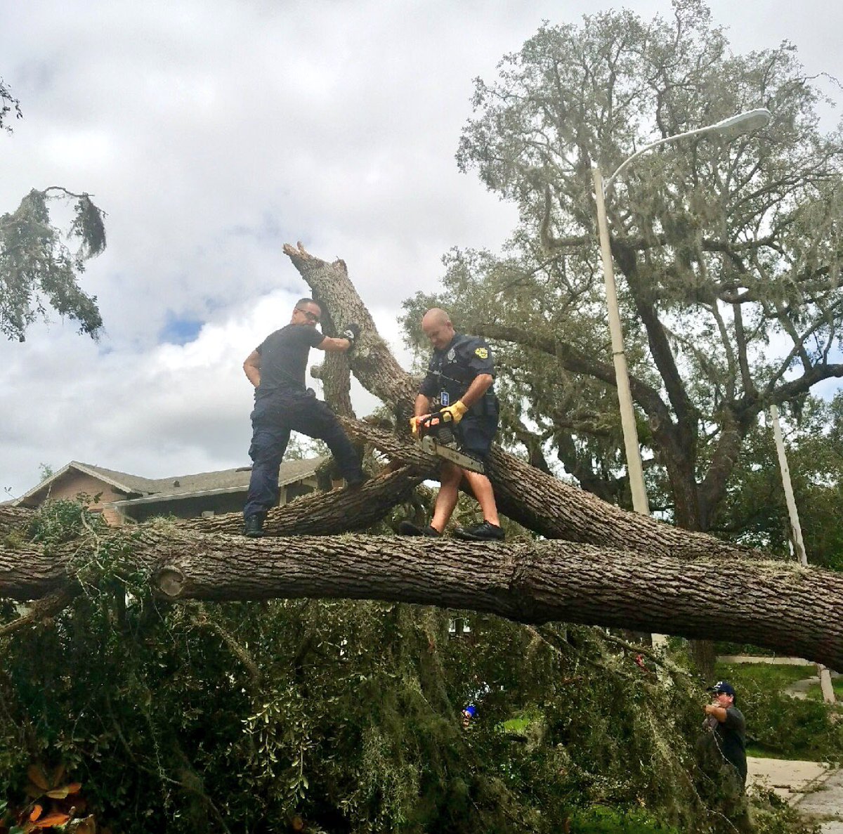OPD was out all day helping our residents get home and get trees cleared. Here's Officer Funke cutting trees in Lake Eola Heights.