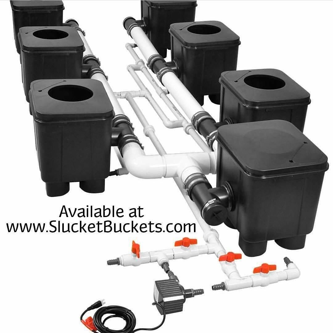 slucketbuckets's tweet image. The #Posiflow #RDWC by #Slucket 
SlucketBuckets.com

#mmj #hydro #indoor #hightimes #bho #dabs #mmmp #ommp #cannabis #weedporn #shatter