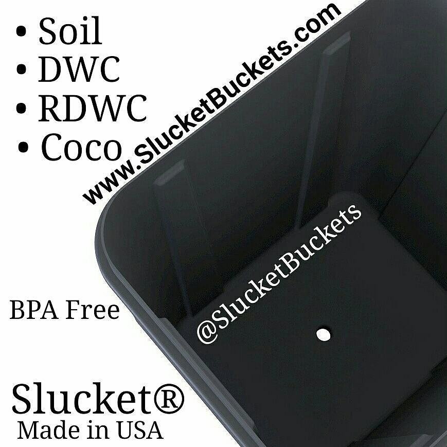 slucketbuckets's tweet image. #Slucket 4 #RDWC #DWC #COCO or #SOIL. 

SlucketBuckets.com

#hydroponics #weedporn #mmj #cannabis #rosin #bho #grow #flower #garden #co