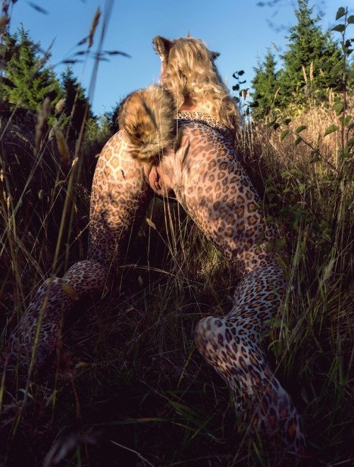 Pussy in the wild