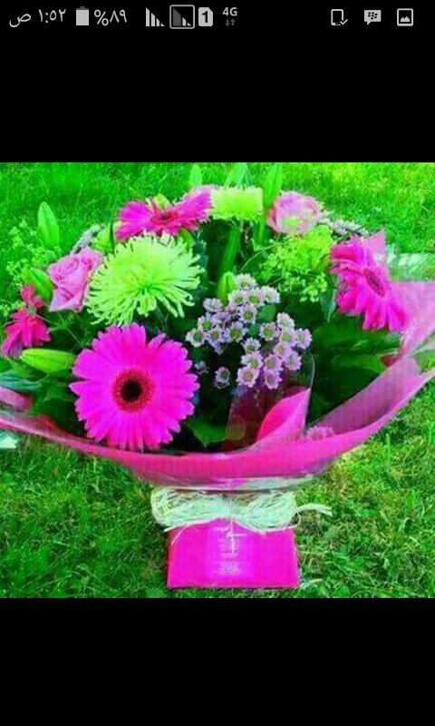 انتي واردتي