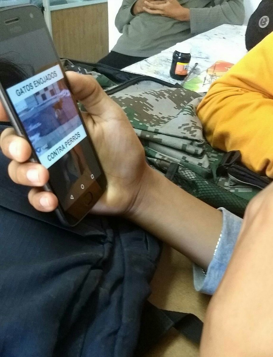 dogordo_'s tweet photo. —Qué hiciste en vez de estudiar!? https://t.co/J1gpeFYnRh