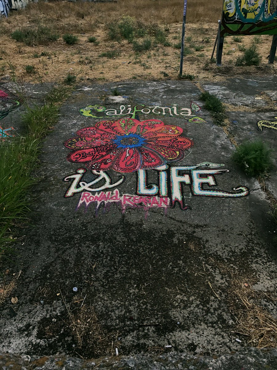 seanyodarouse's tweet photo. #streetart in the Berkeley Inn vacant lot. #BerkeleyArt #QuirkyBerkeley (@ Telegraph Avenue) https://t.co/sBQSbw5o49 https://t.co/o0XcIabZ3k