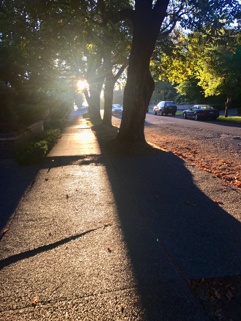 WindstarGM's tweet photo. My view on my walk home from work today#Seattle #queenanne #highlanddrive https://t.co/YVH0tZSHLY