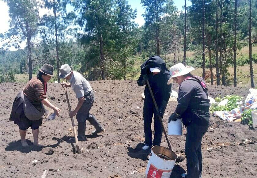 #InfoMAG | Asistencia técnica en la siembra de papa, en el sector de Carboncillo, parroquia Urdaneta, #Saraguro #AgriculturaCrece
