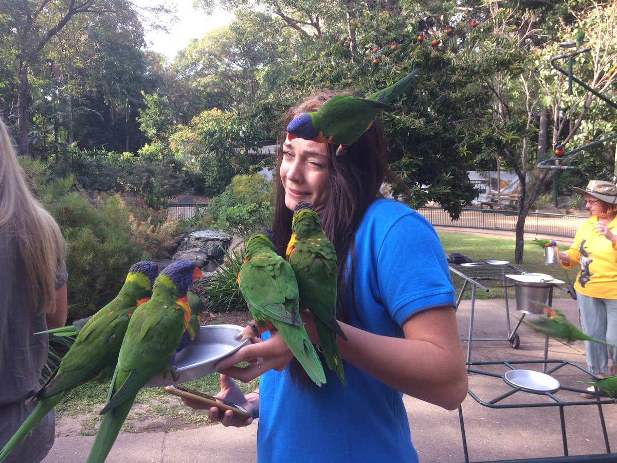 ellanelson200's tweet image. Posing vs reality 😂😭 #forthegram #thisisqueensland @Queensland @GC2018