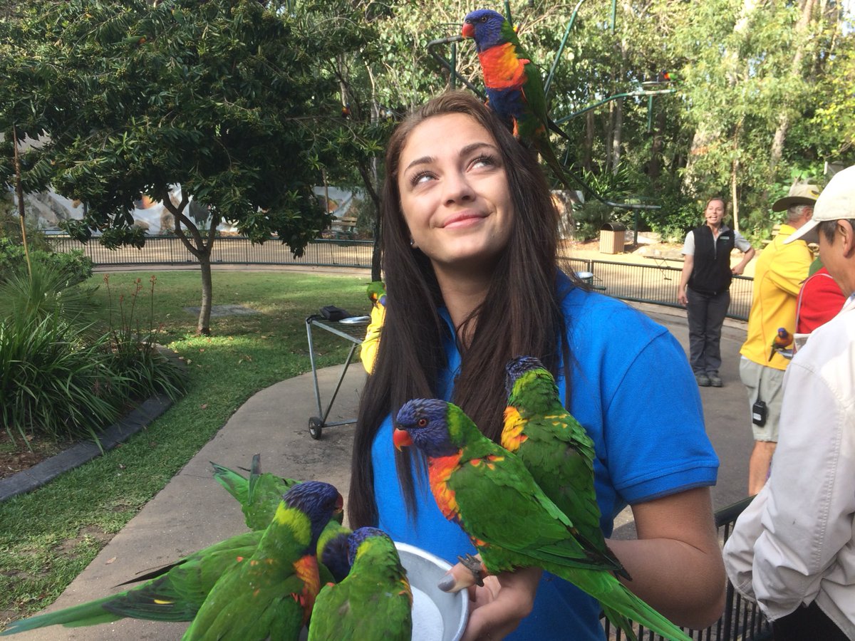ellanelson200's tweet image. Posing vs reality 😂😭 #forthegram #thisisqueensland @Queensland @GC2018