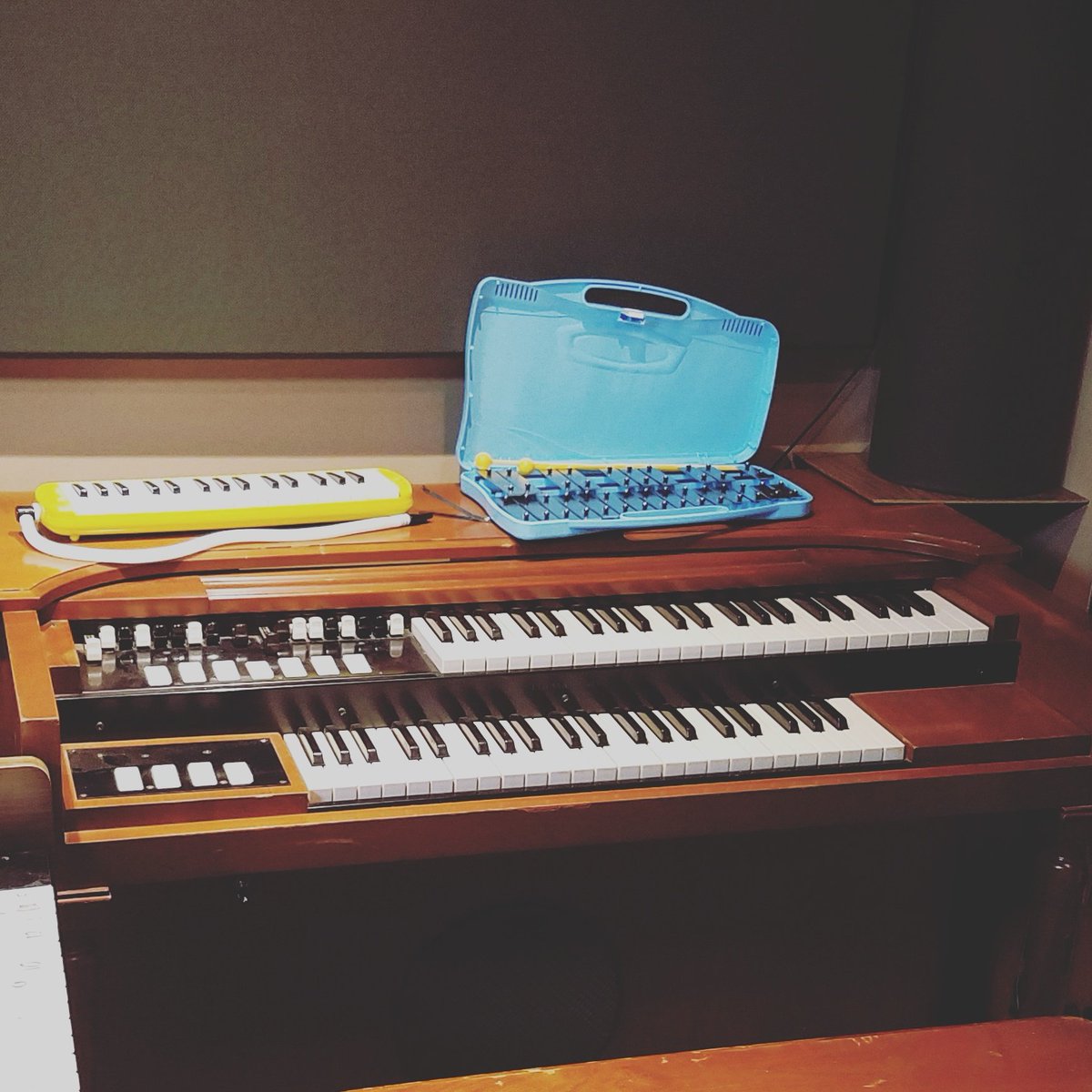 woodaworx's tweet photo. New additions to WoodaWorx. Never enough instruments. #m100 #hammond #glockenspiel #melodica #woodaworx #studionerd https://t.co/XRlpTaGPft
