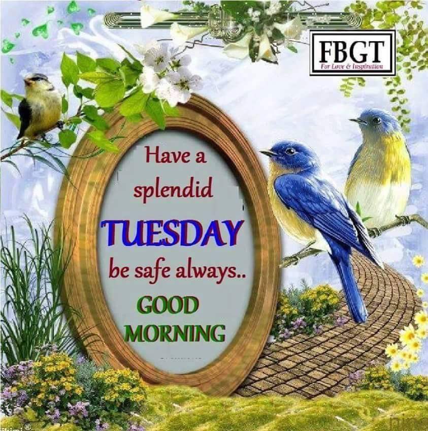 HarrietPJamison's tweet image. @DrBillWinston @JoyceMeyer @RevJJackson @SantitaJ @thejacksonfile @PastorSCaesar  @jamalhbryant @MarthaMunizzi @AndreMurphy2 @elizabeth1991