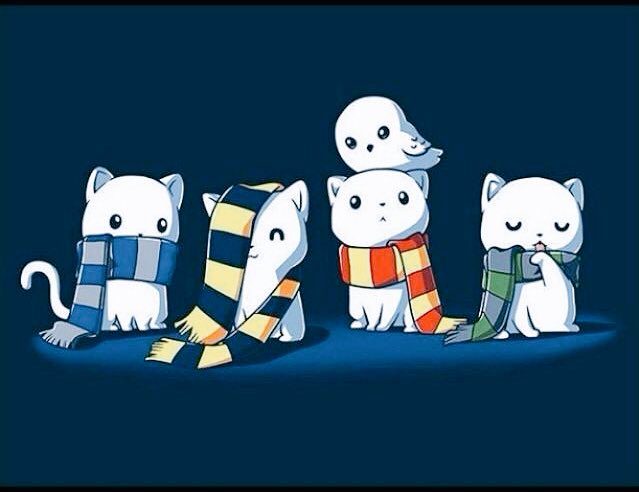 Tomato (@tomato_snow27) on Twitter photo 