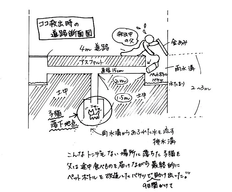 排水溝に落ちた子猫を救うのは困難？両親が子猫を助けるまでが壮絶！