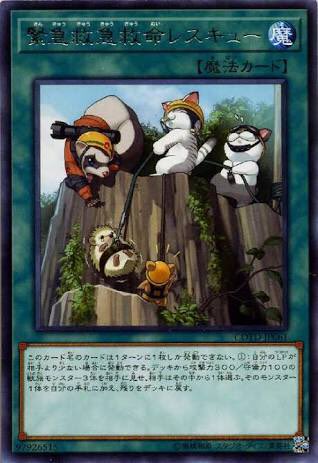 面白い テーマ 遊戯王