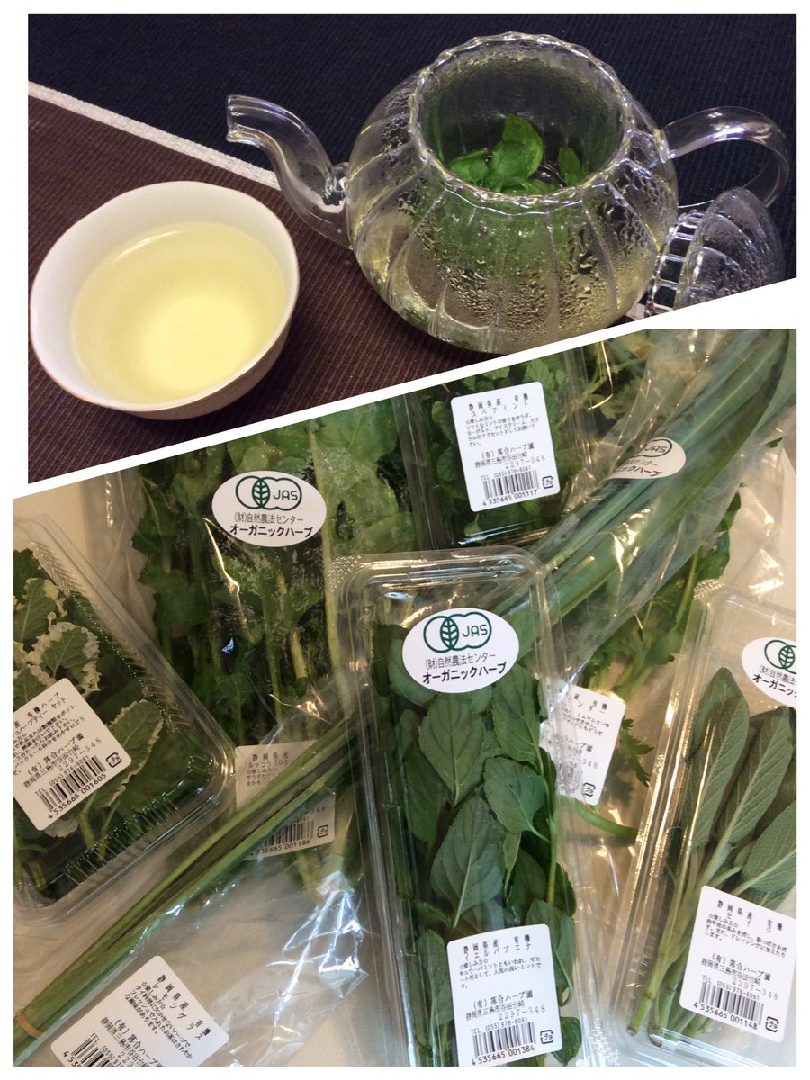 落合ハーブ園 東京仙川店 Auf Twitter フレッシュハーブが入荷しました ルッコラ コリアンダー レモングラス セージ スペアミント イエルバブエナ フレッシュハーブティーセット ミント4種とレモングラスのミックス イエルバブエナはモヒートの本場キューバ