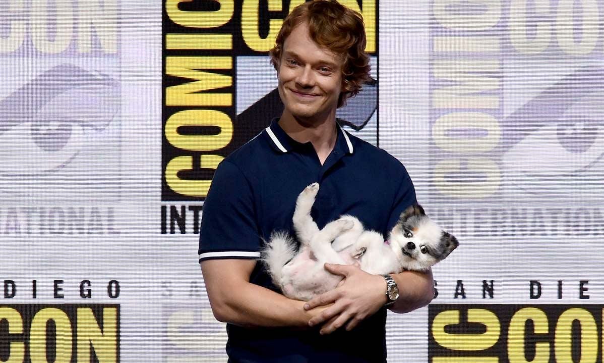 Happy birthday to my boy Alfie Allen        , I love him so much and he deserves all the happiness in the world!! 